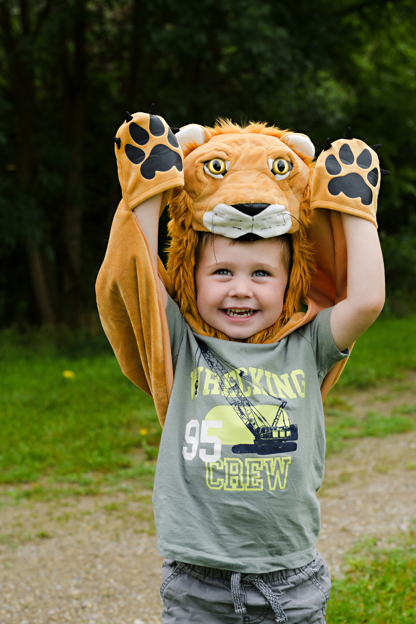 Storybook Lion Cape