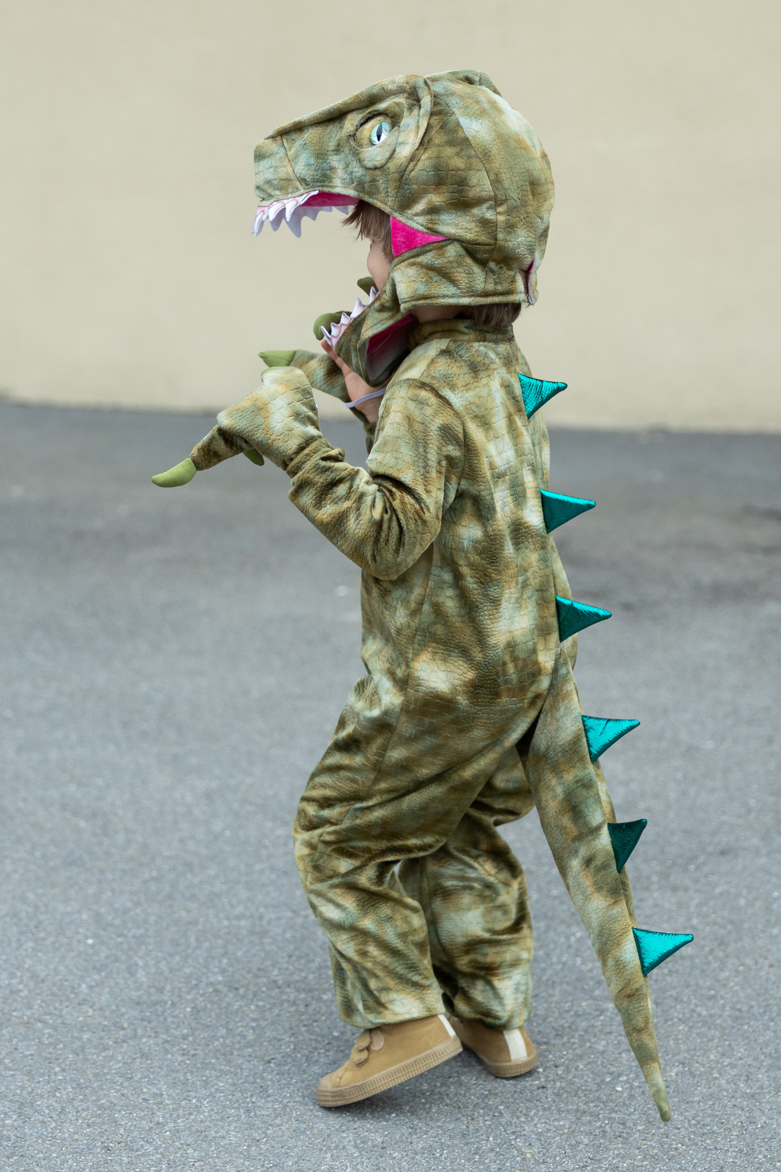 A Land Before Mine Deluxe Raptor