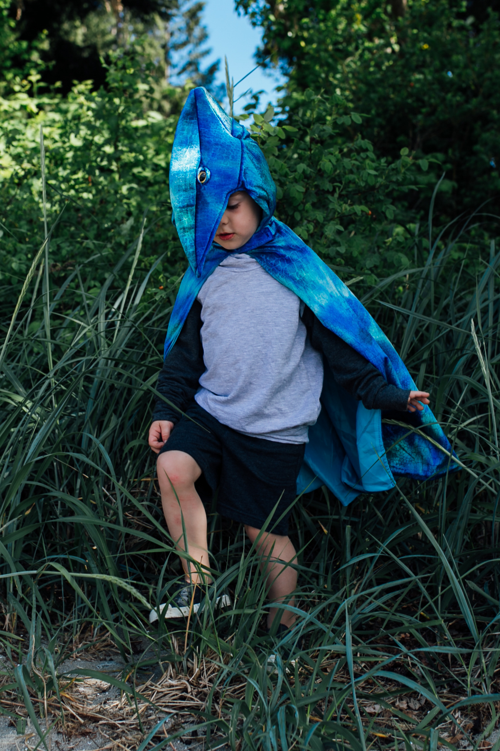 Pterodactyl Hooded Dinosaur Cape