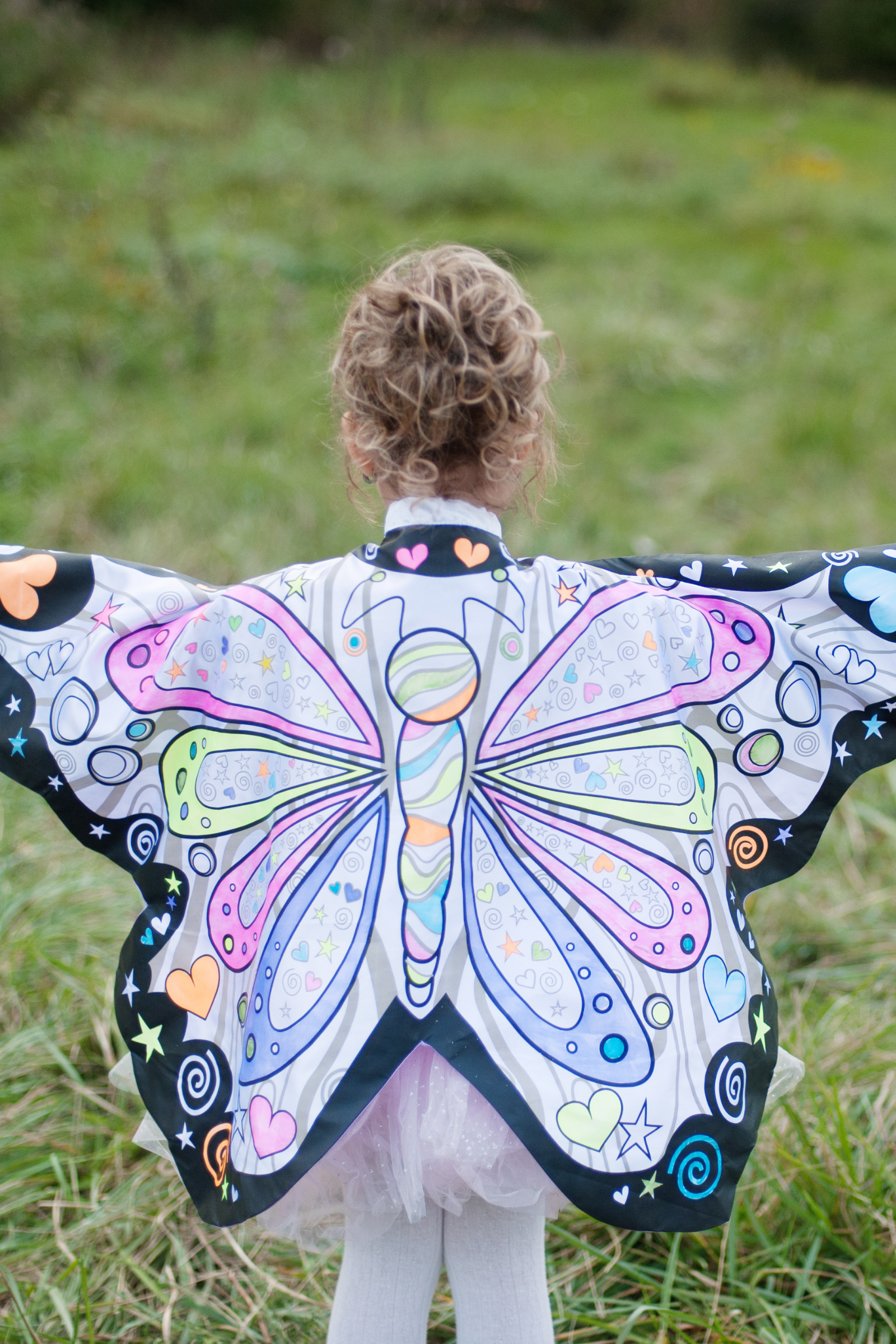 Colour A Butterfly Wings