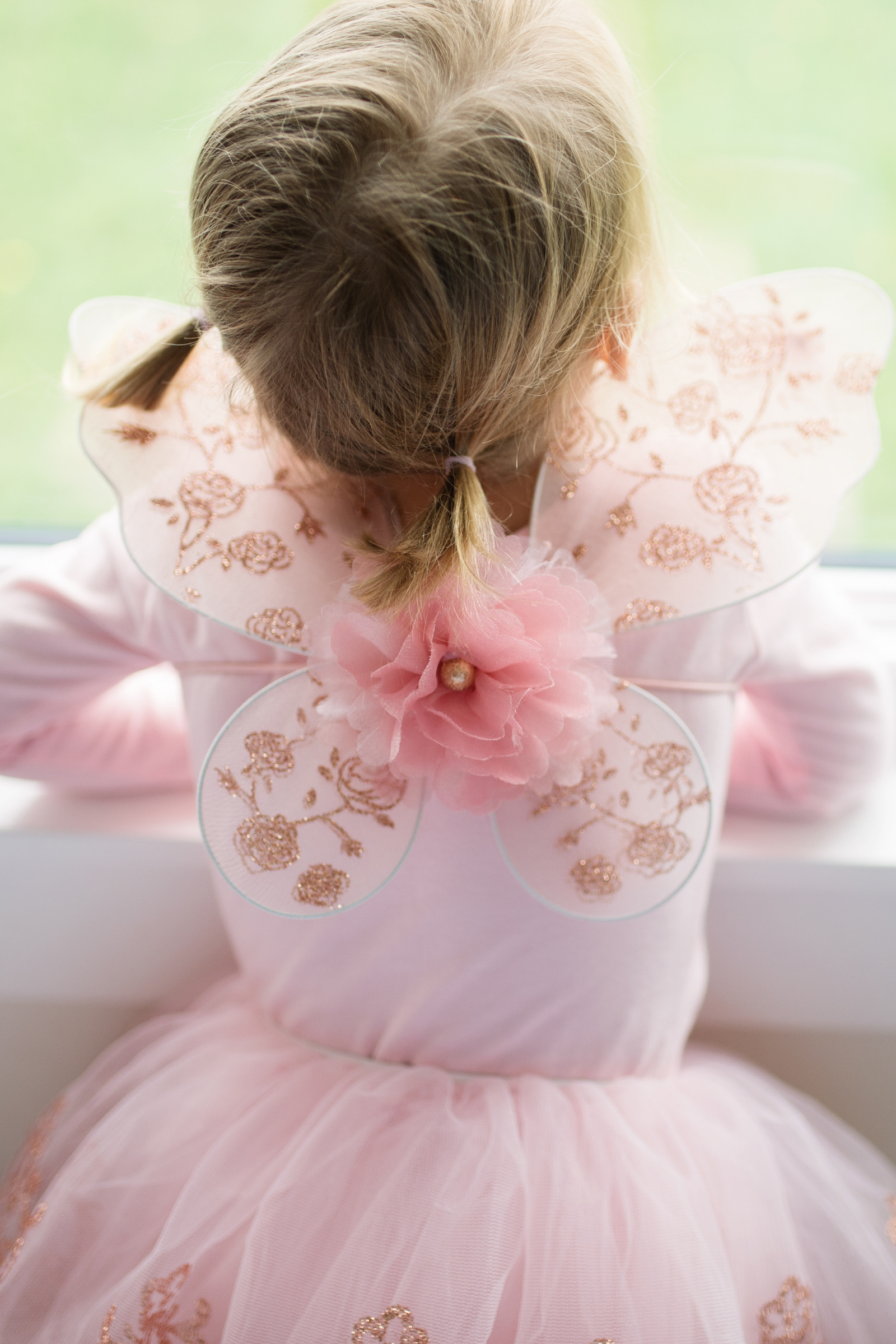 Rose Gold Tutu & Wings Set