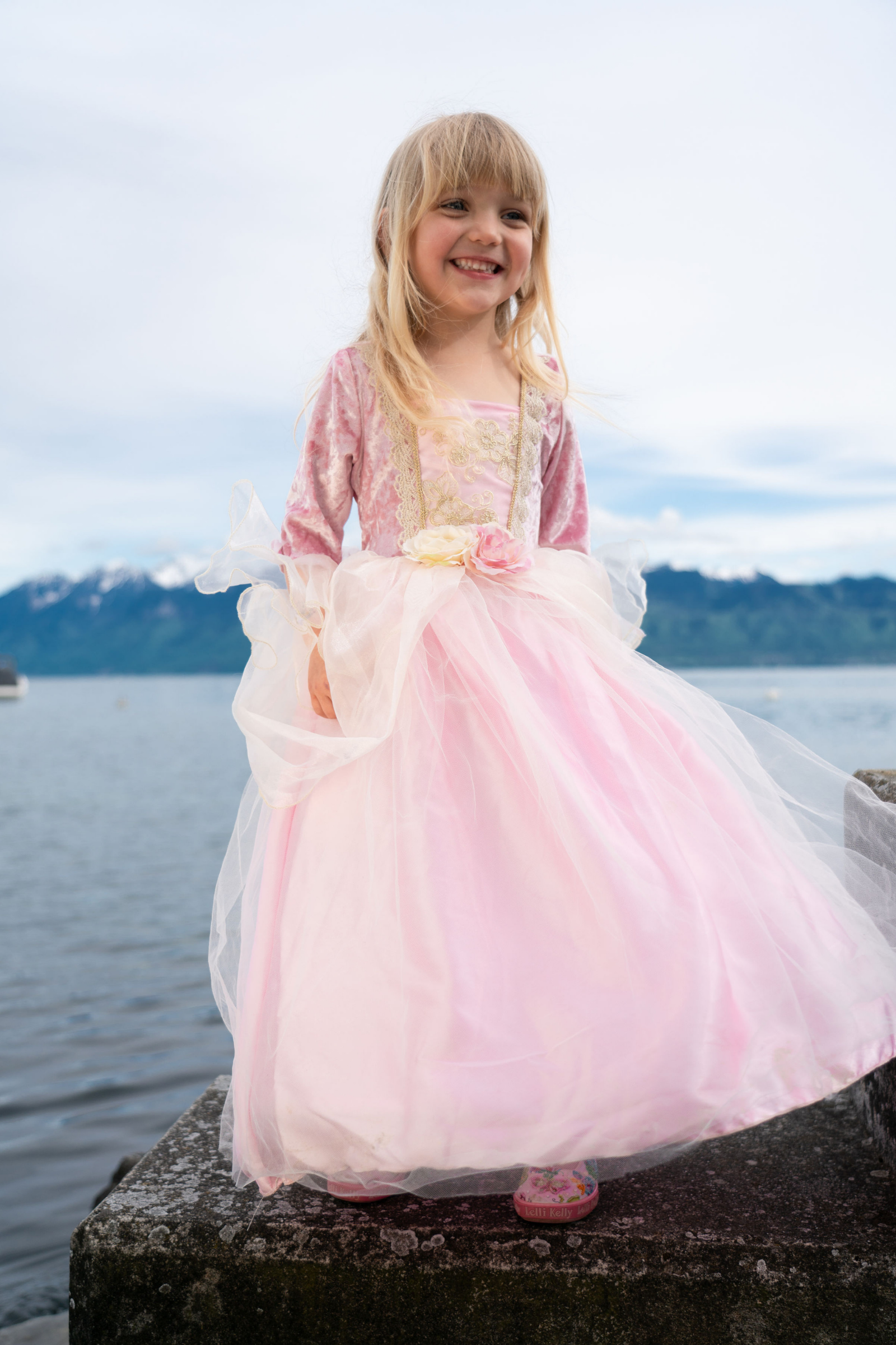 Pink Rose Princess Dress