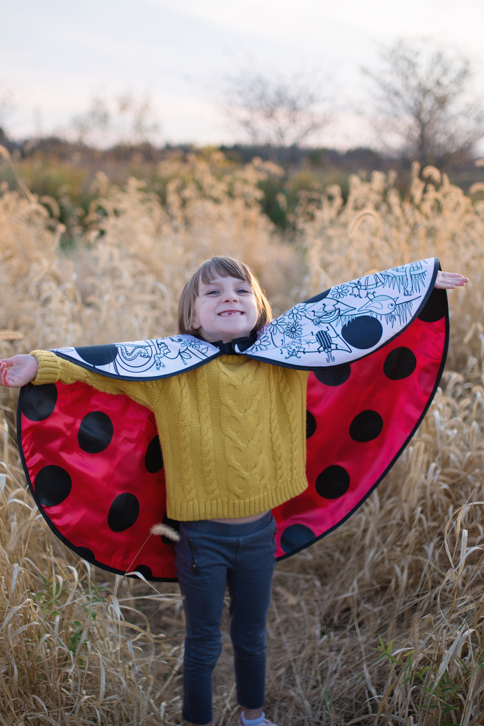 Colour-A-Ladybug Cape