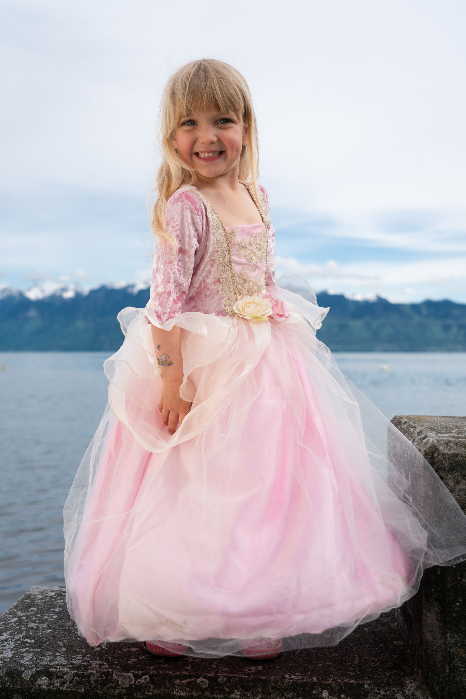 Pink Rose Princess Dress