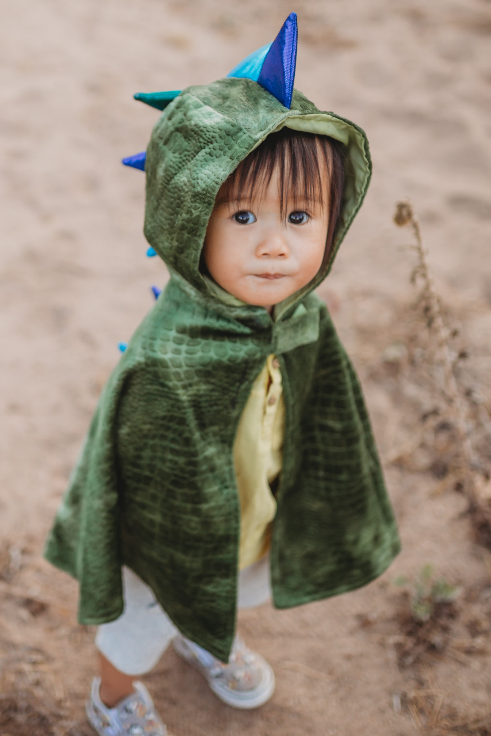 Baby Dragon Cape