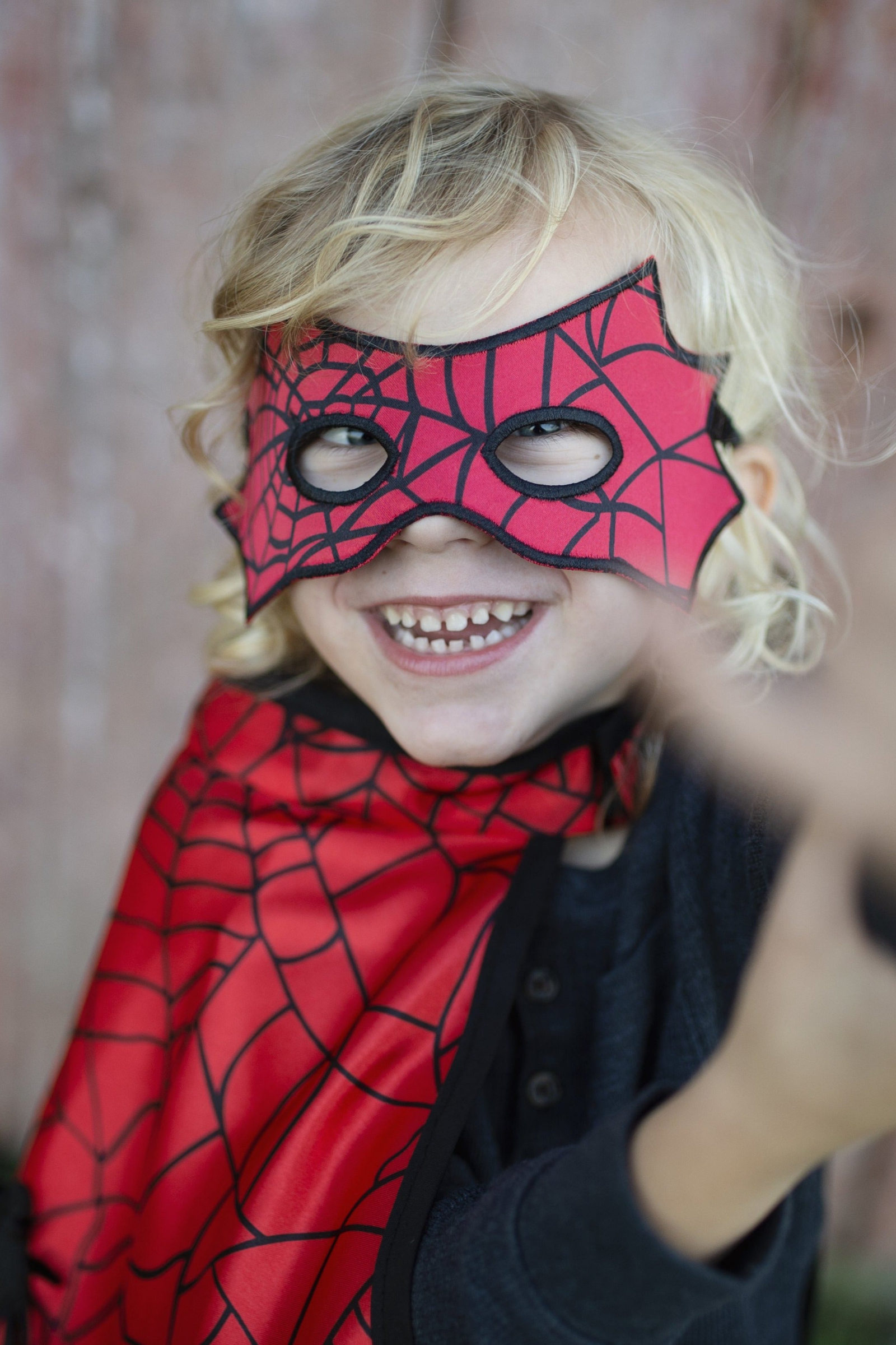 Reversible Spider Bat Cape and Mask