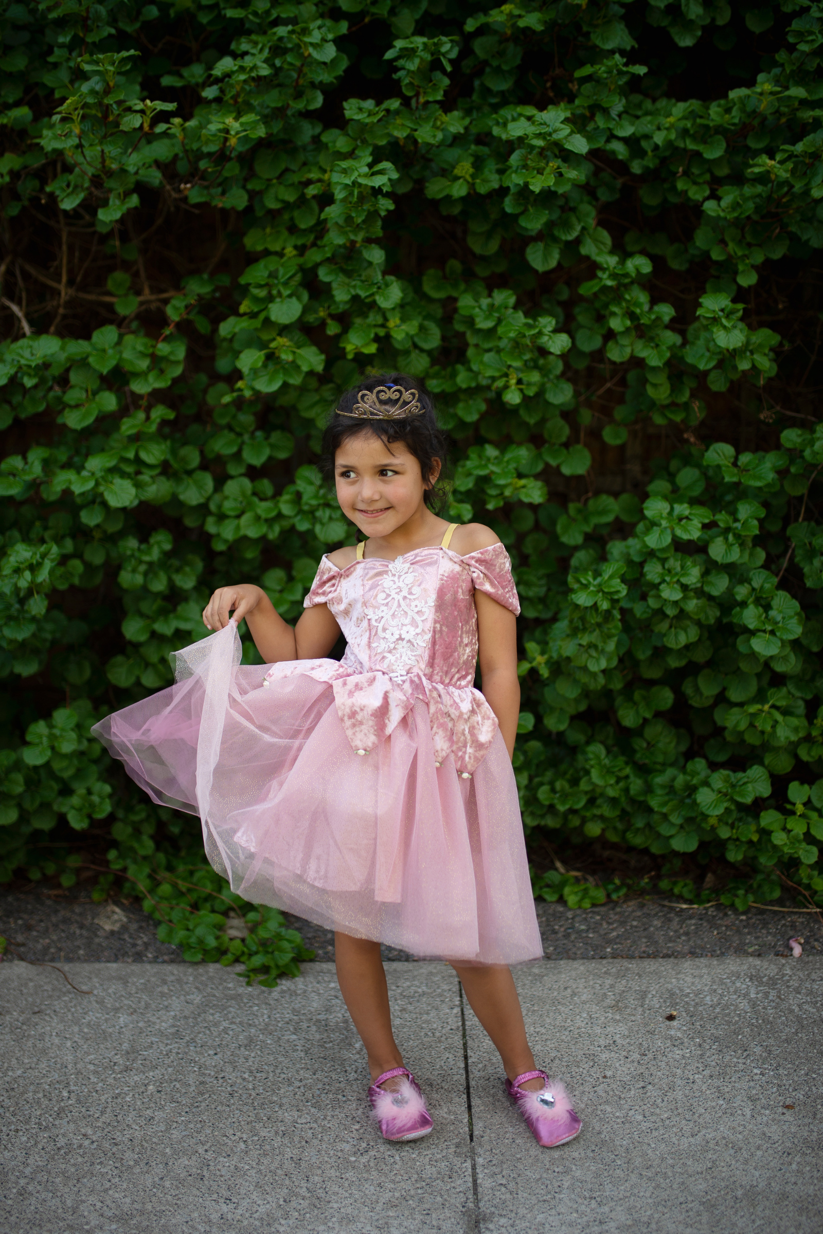 Dusty Rose Holiday Ballerina Dress