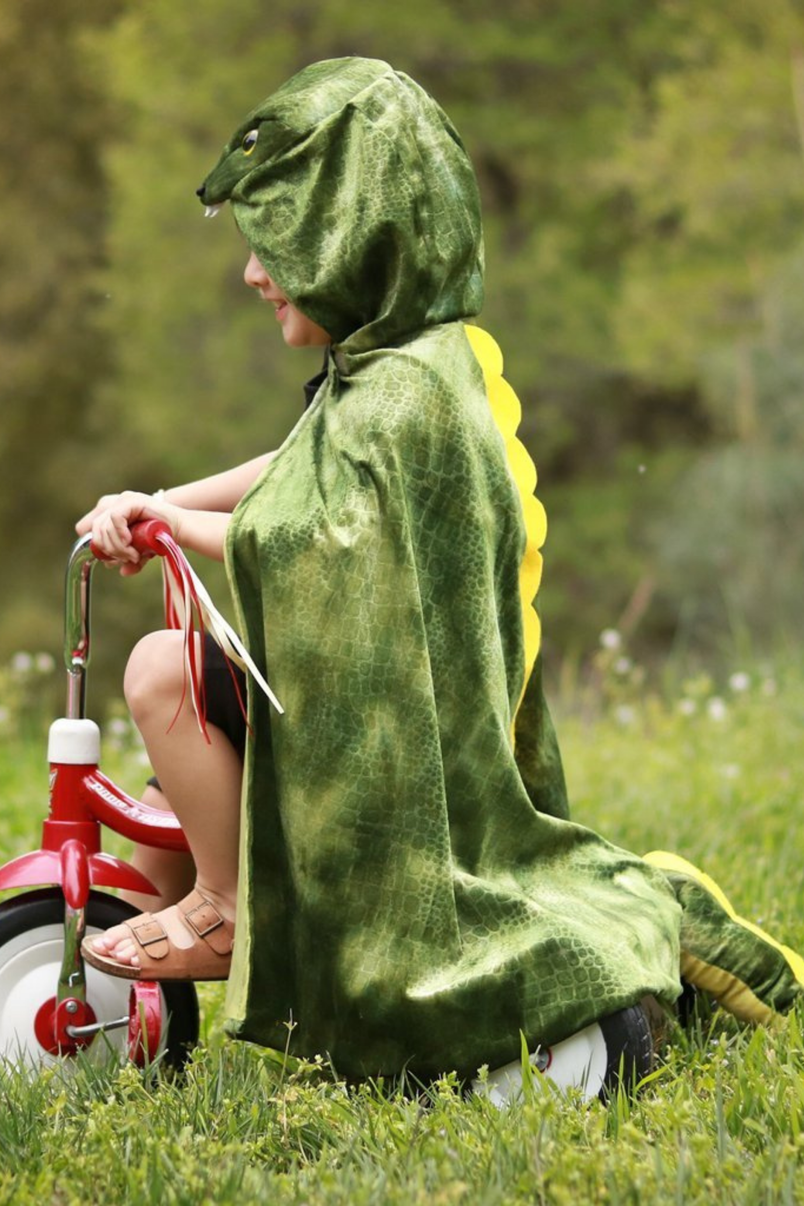 T-Rex Hooded Dinosaur Cape