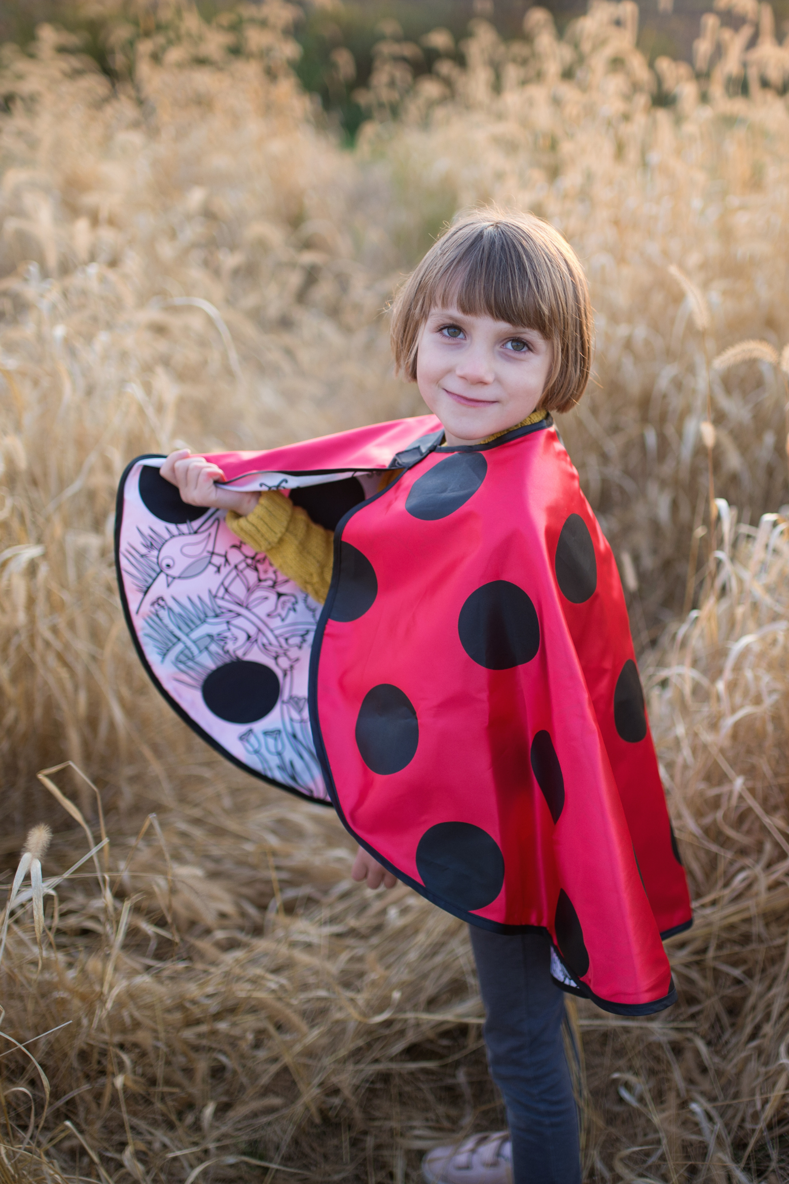 Colour-A-Ladybug Cape