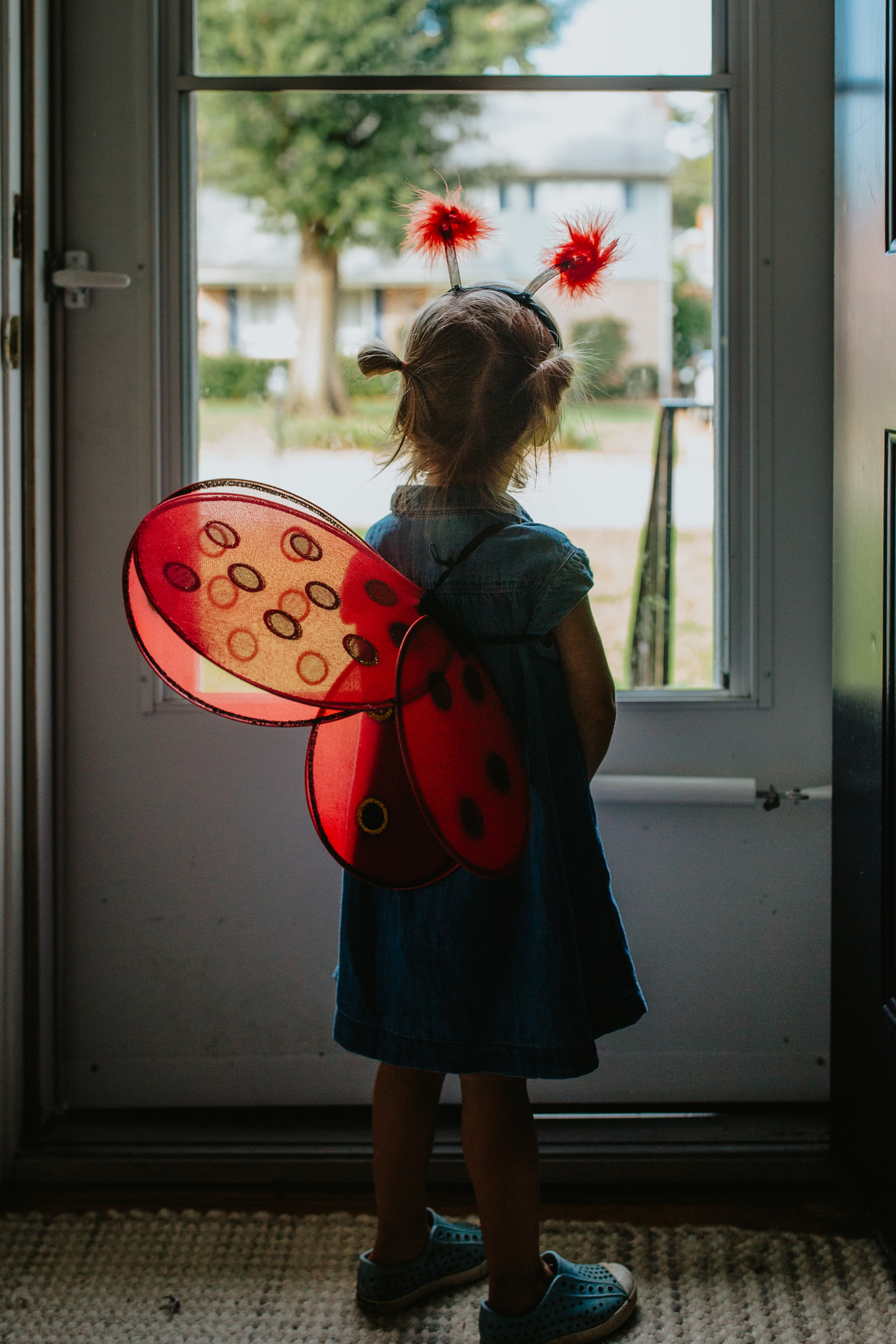 Ladybug Wings & Headband