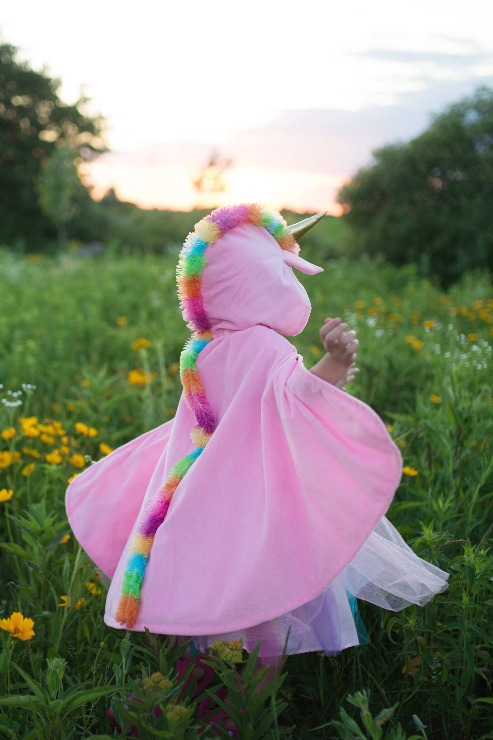 Unicorn Cape