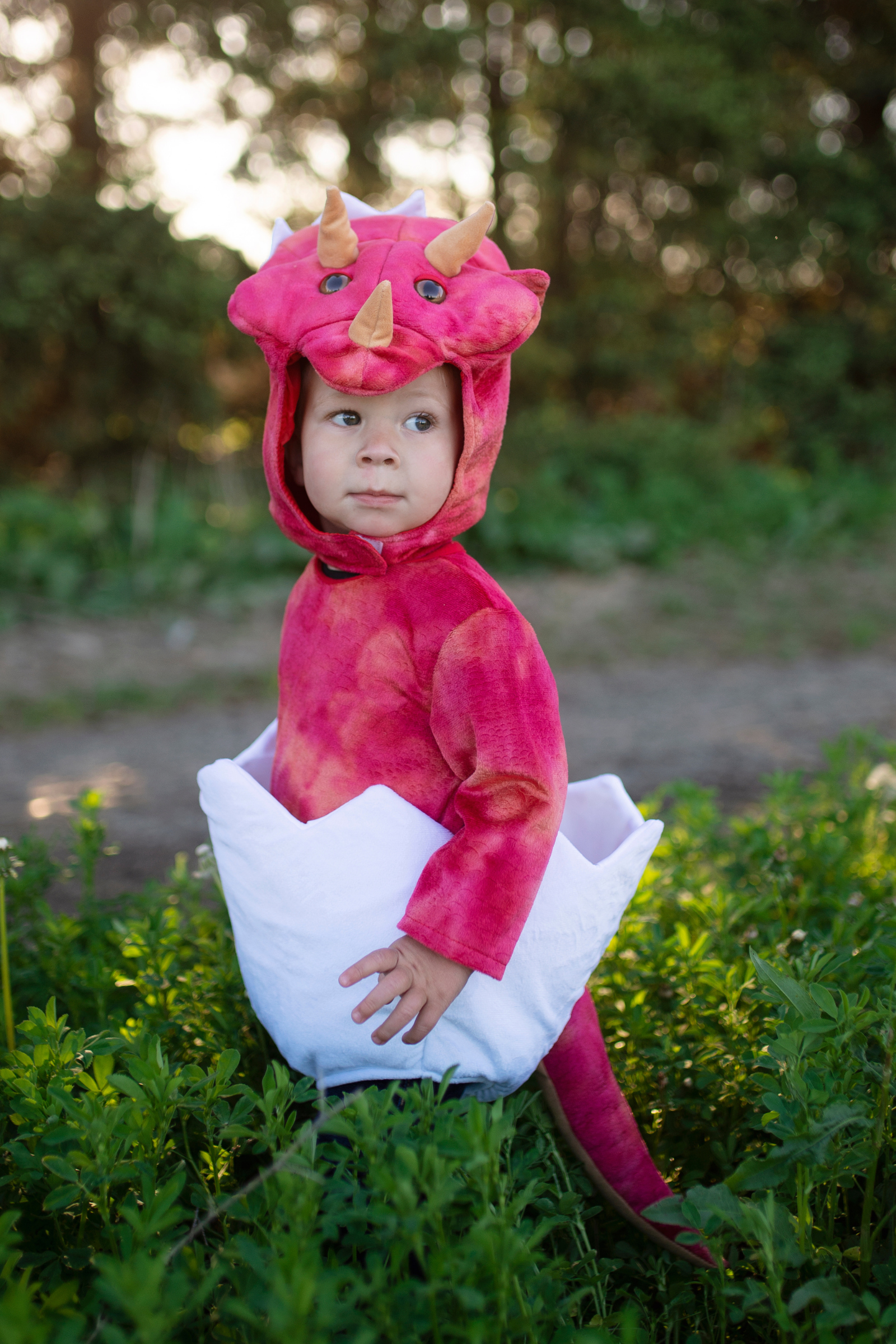 Dinosaur outfits for toddlers best sale