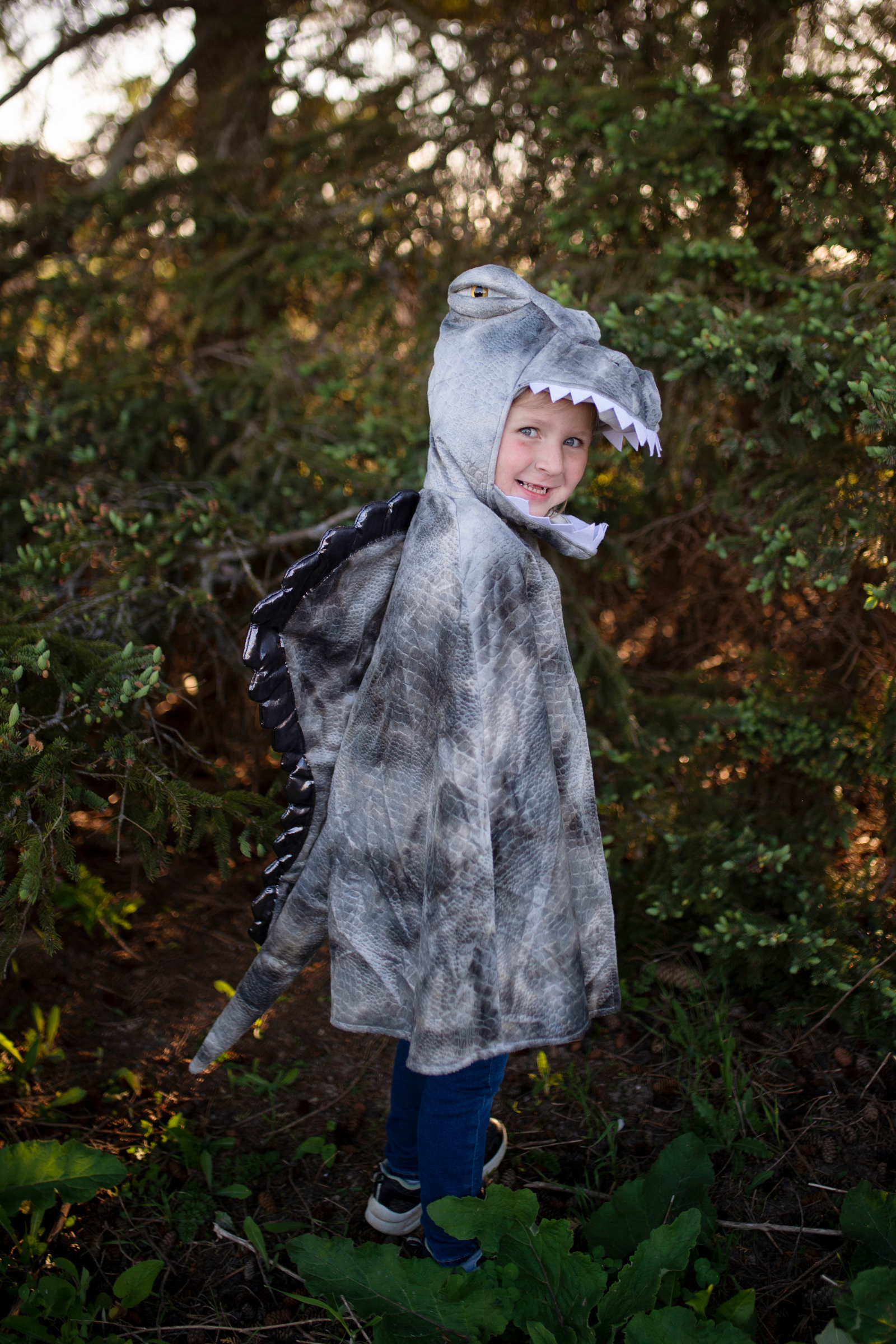 Grey Grandasaurus Spinosaurus Cape