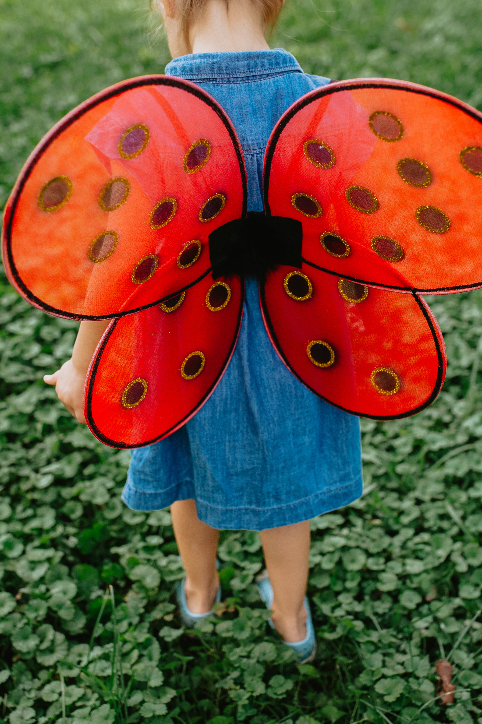 Ladybug Wings & Headband