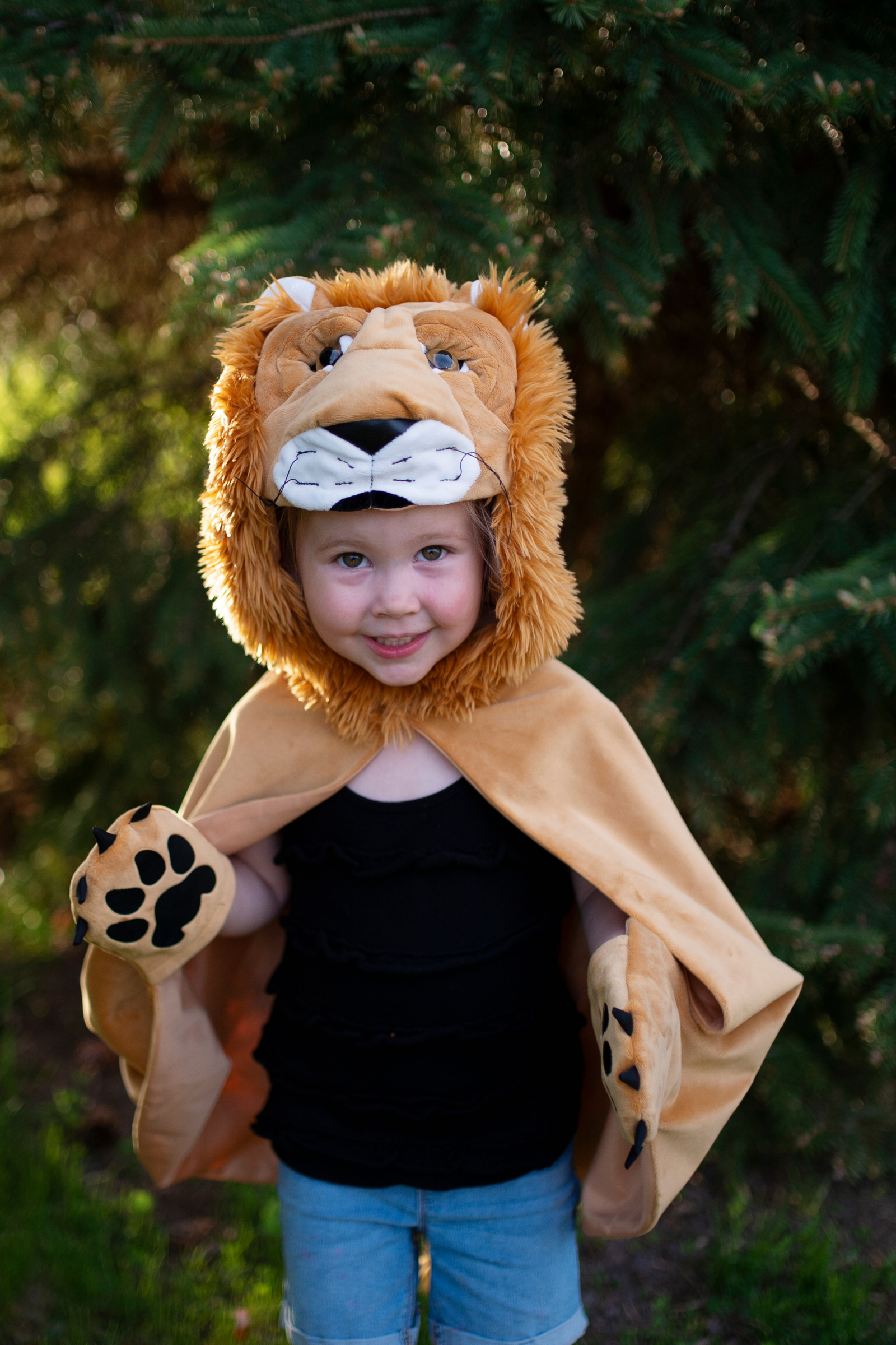 Storybook Lion Cape