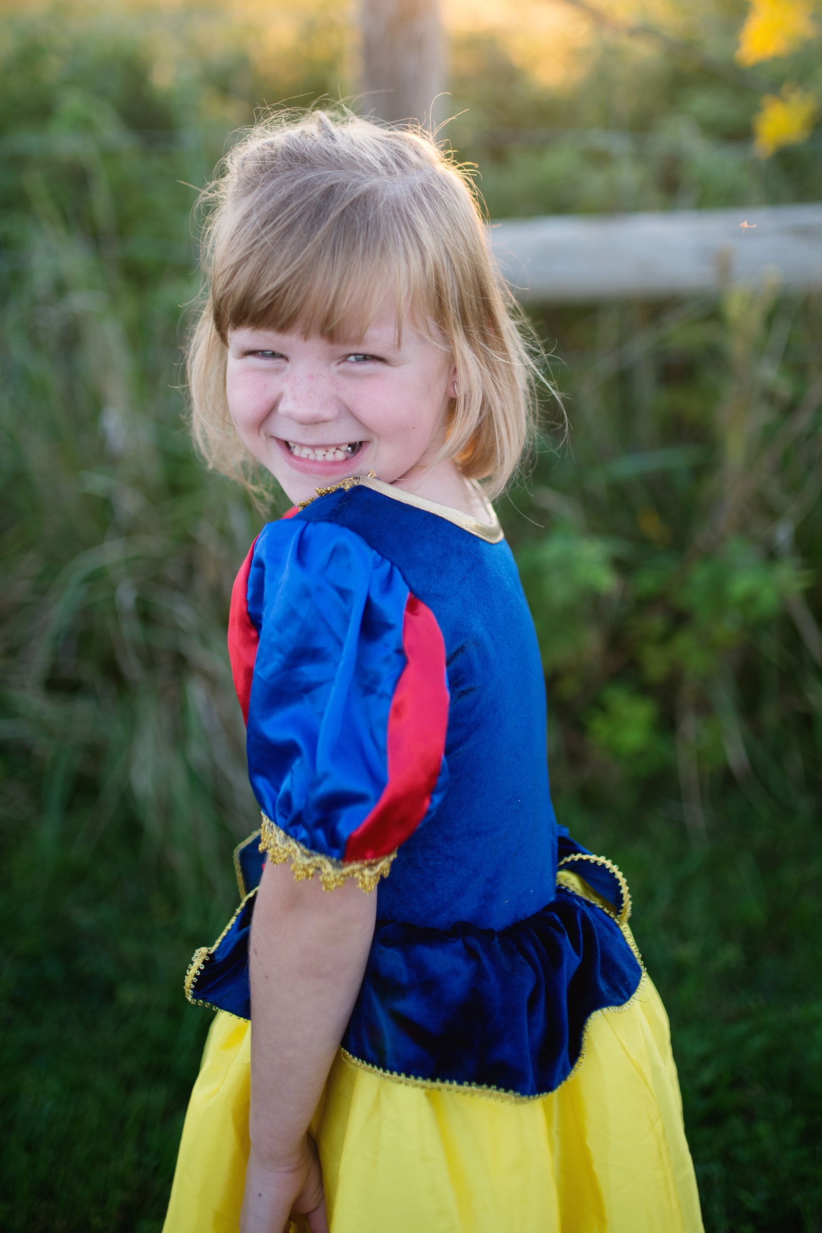 Deluxe Snow White Gown