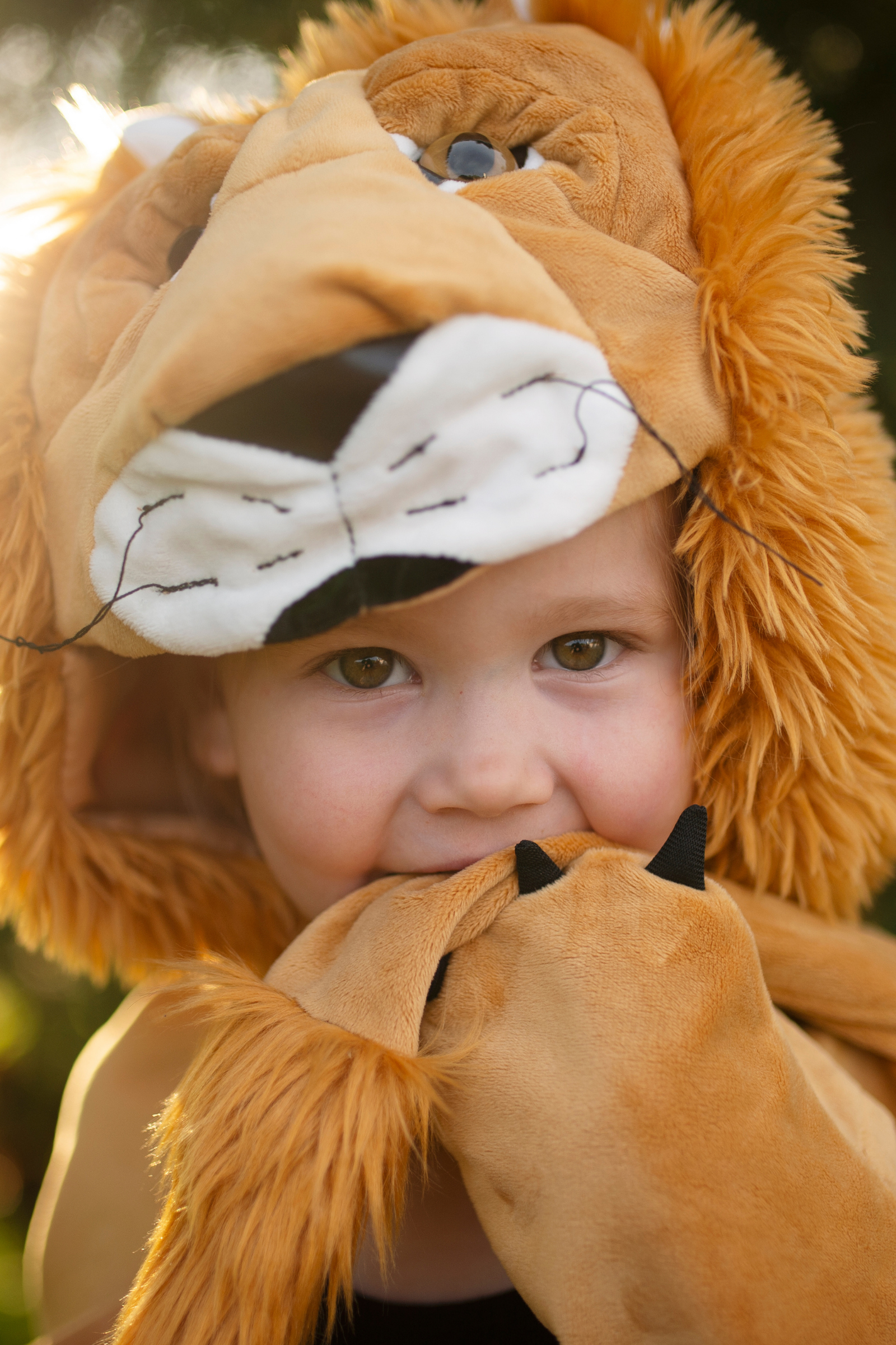 Storybook Lion Cape