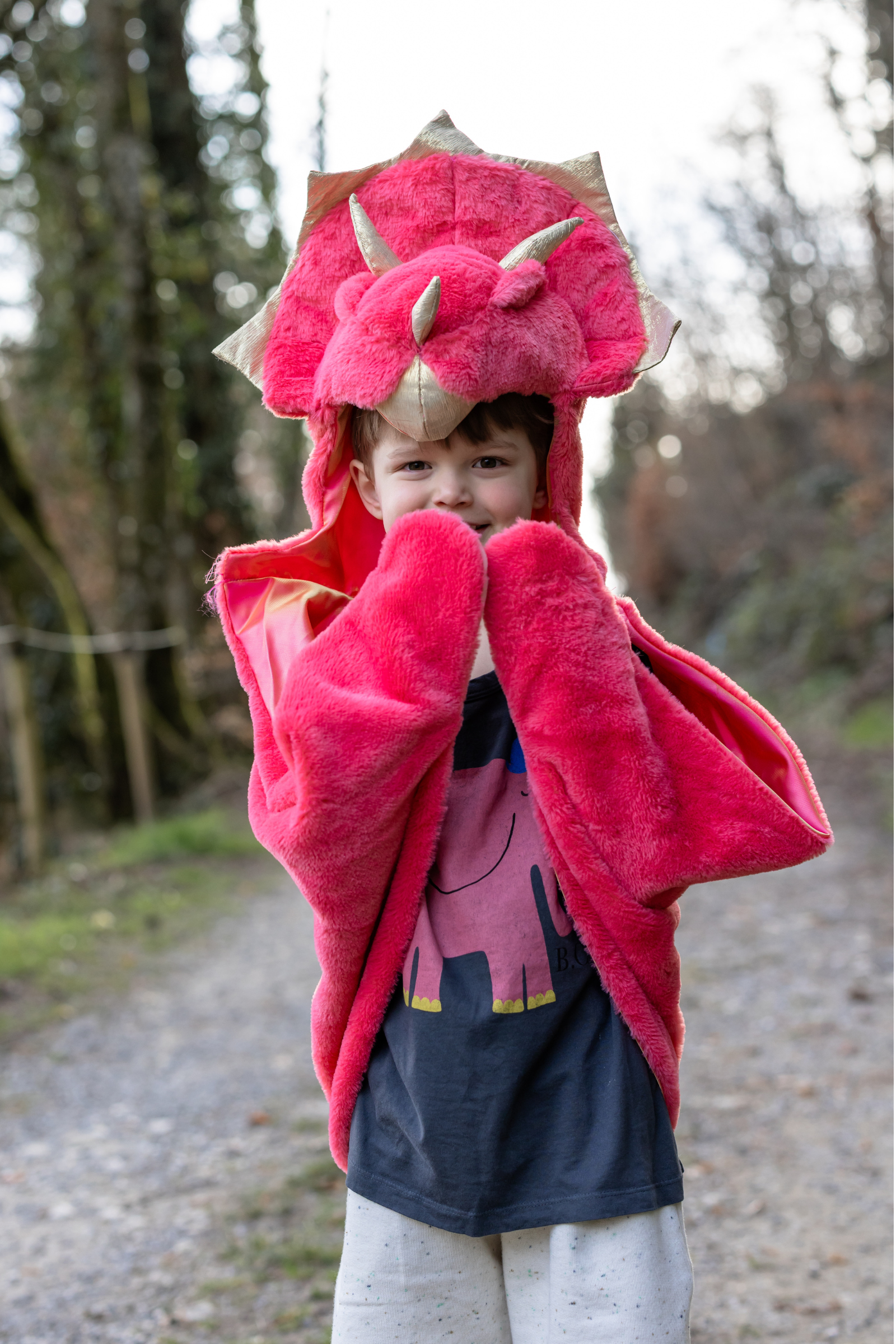 Red Triceratops Cuddle Cape