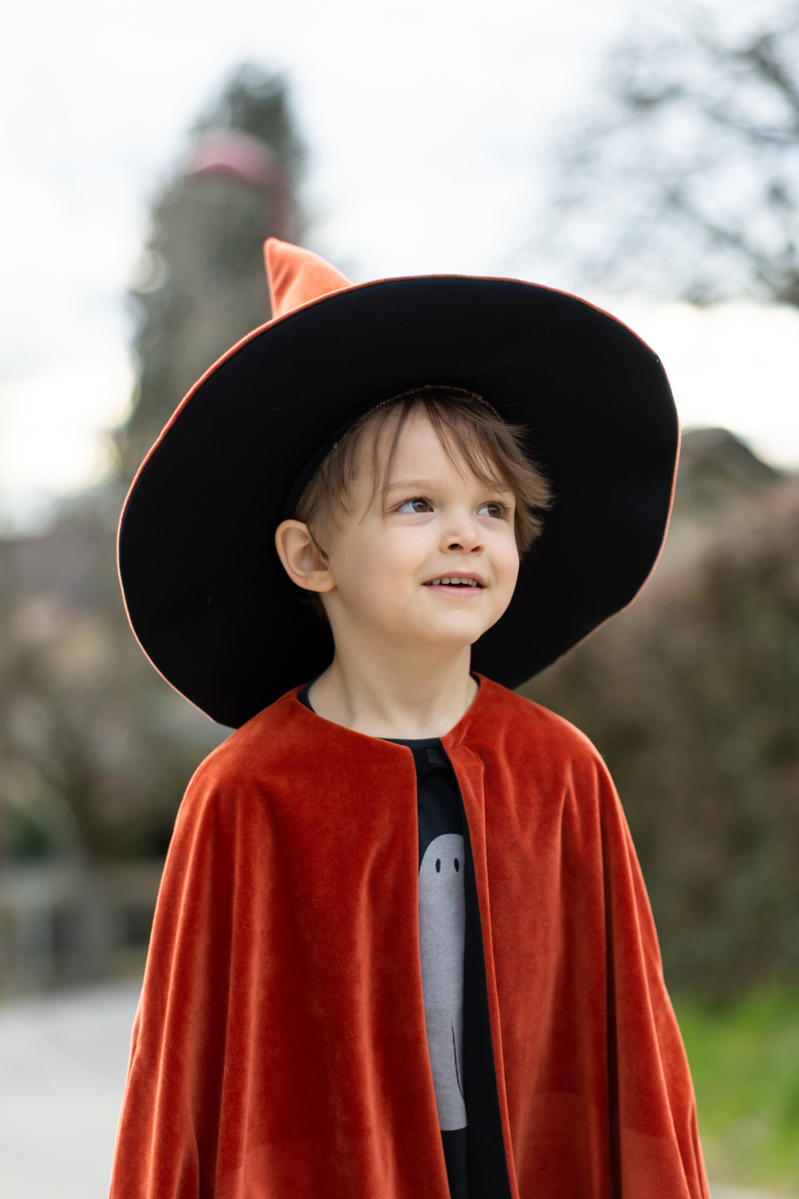Autum Embers Wizard Cape and Hat
