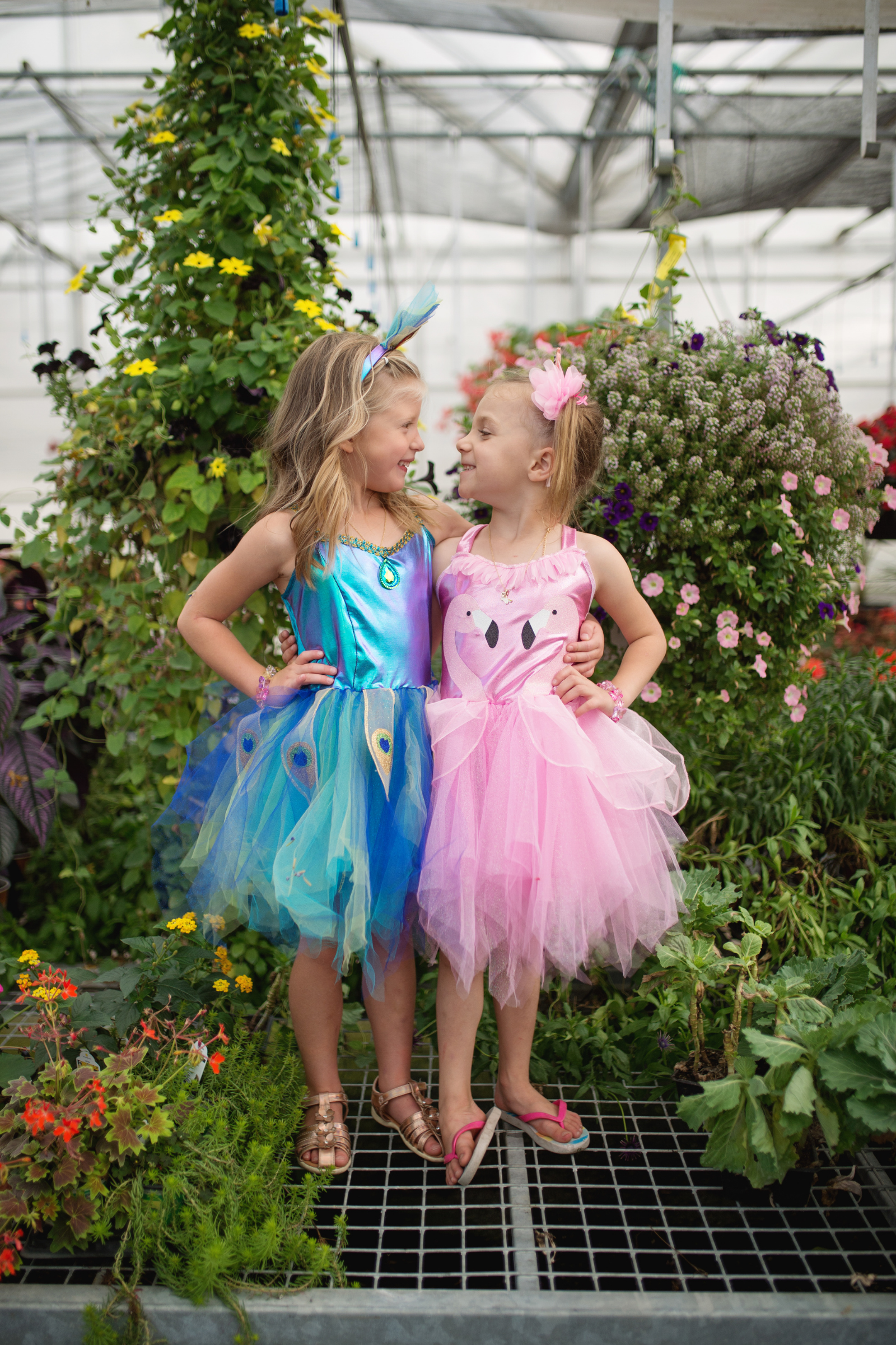 Pretty Peacock Dress & Headband