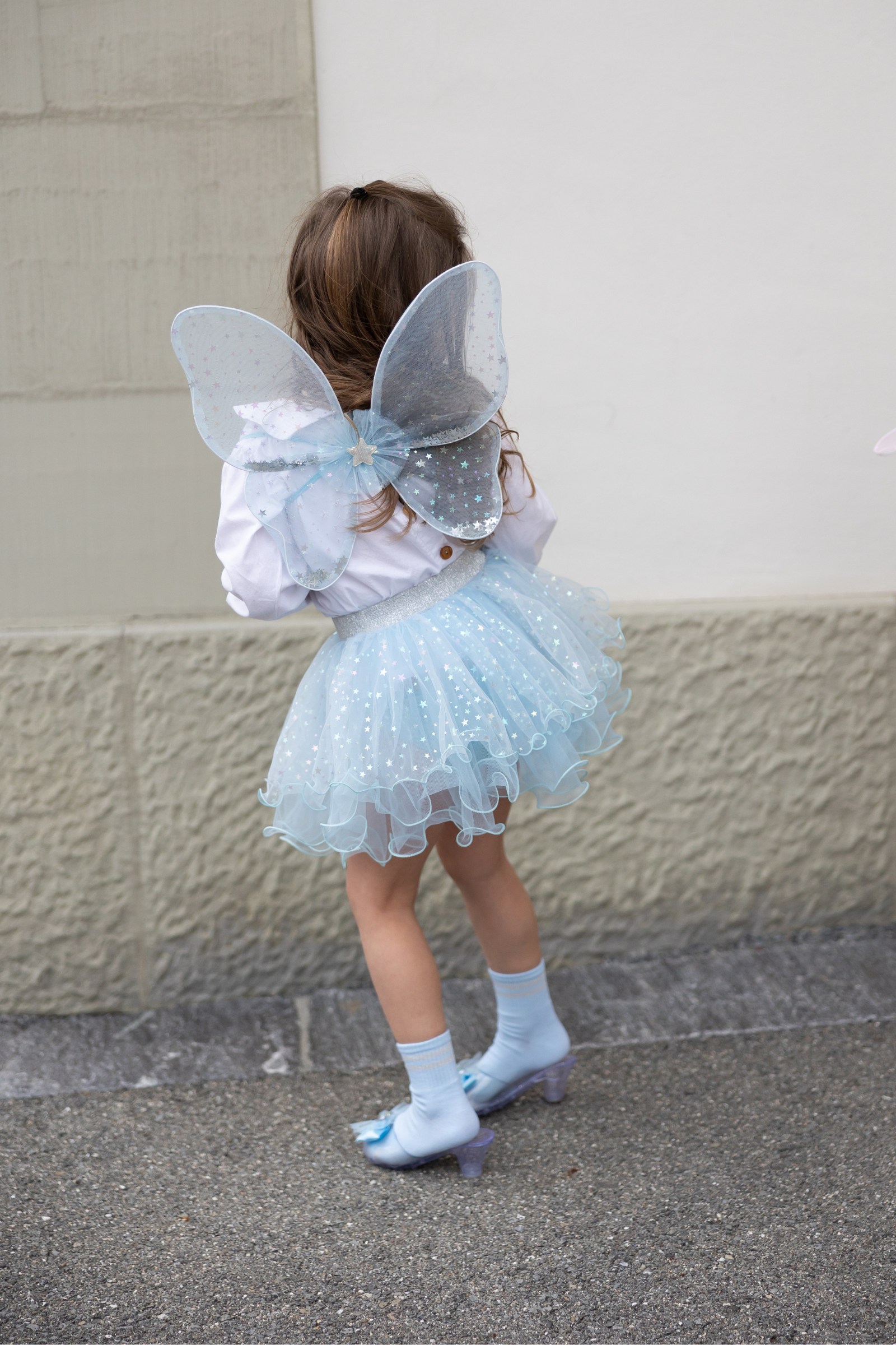Iridescent Celestrial Fairy Wings, Tutu, Wand