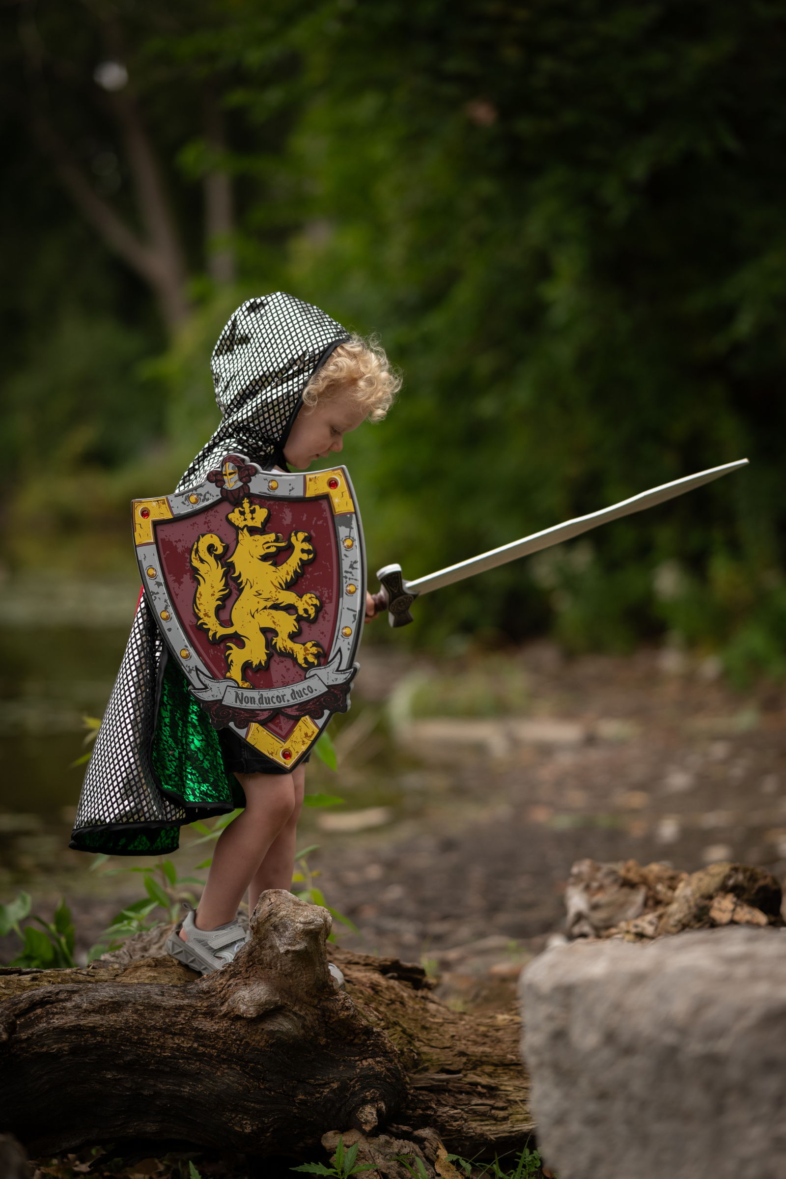 Epée de chevalier Honour EVA