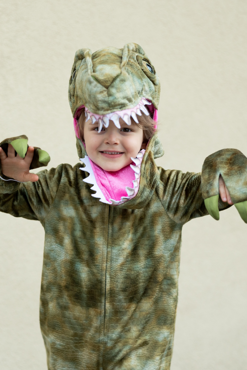 A Land Before Mine Deluxe Raptor