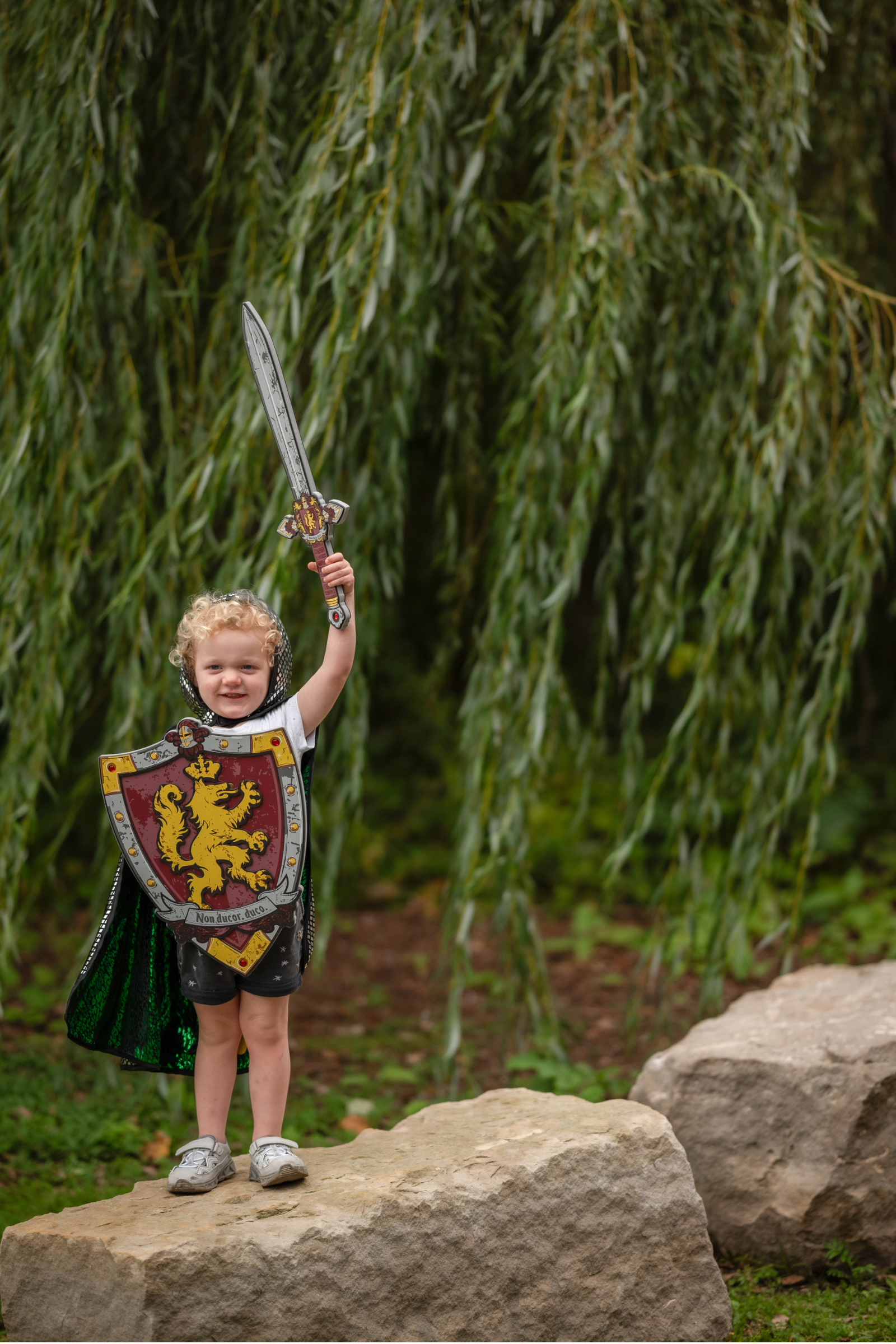 Knights Honour EVA Shield