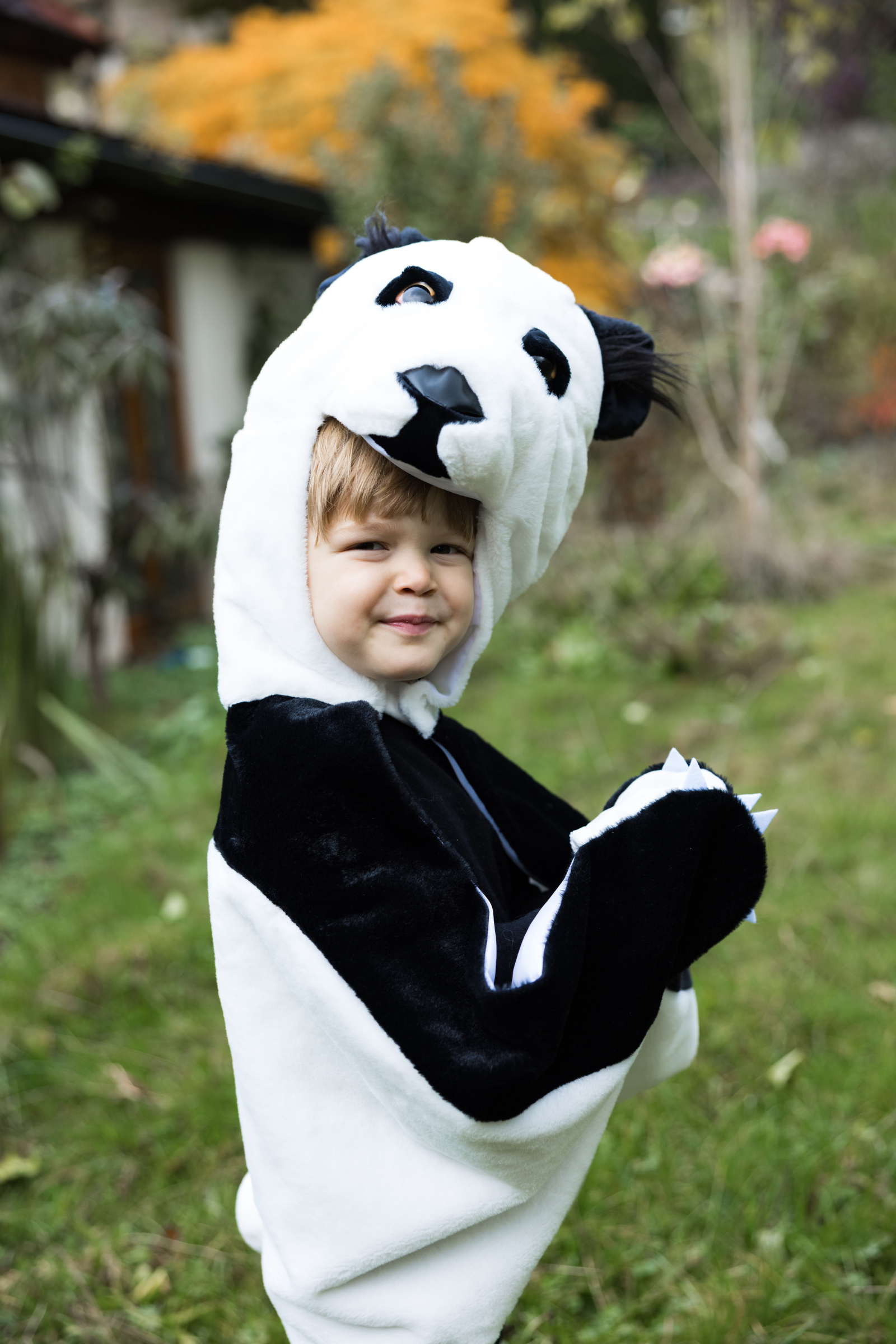 Panda Cuddle Cape