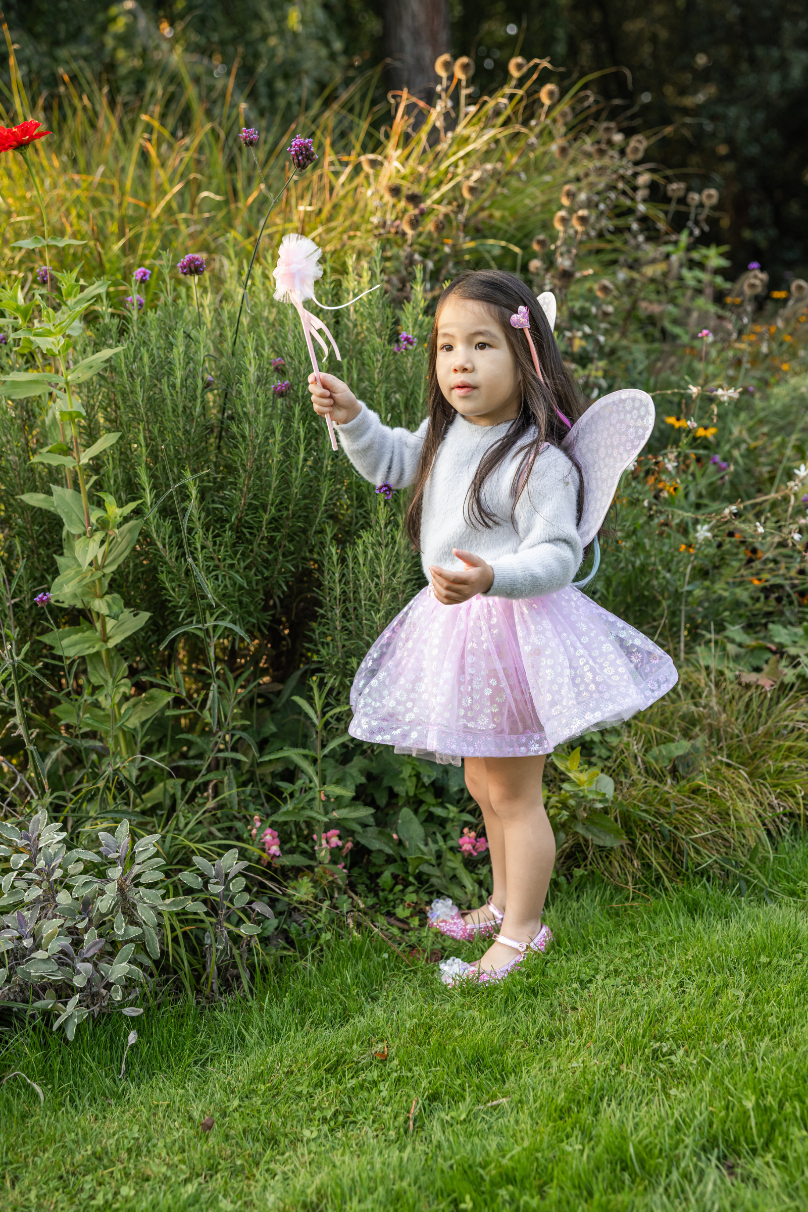 Crazy for Daisies Tutu, Wand & Wing Set