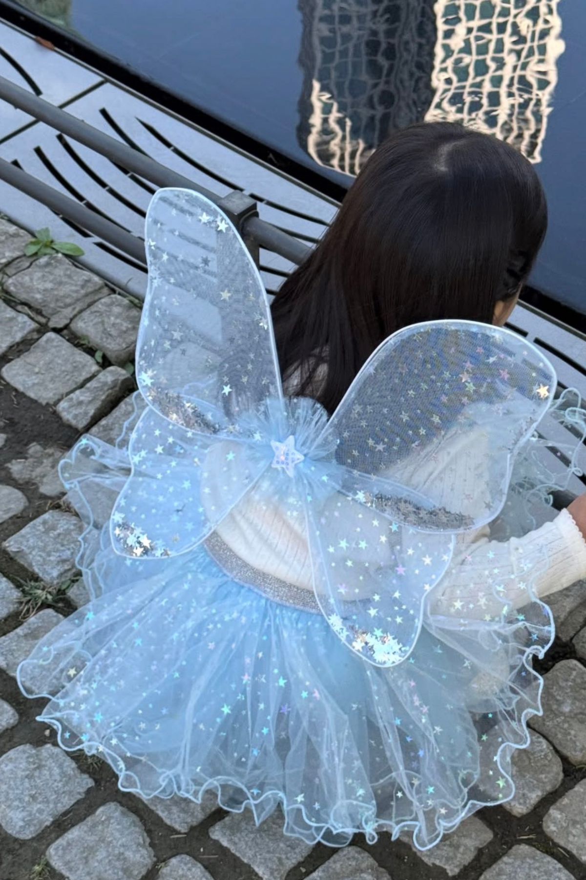 Iridescent Celestrial Fairy Wings, Tutu, Wand and High Heels