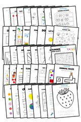 Summer Learning Materials - 100 pages!