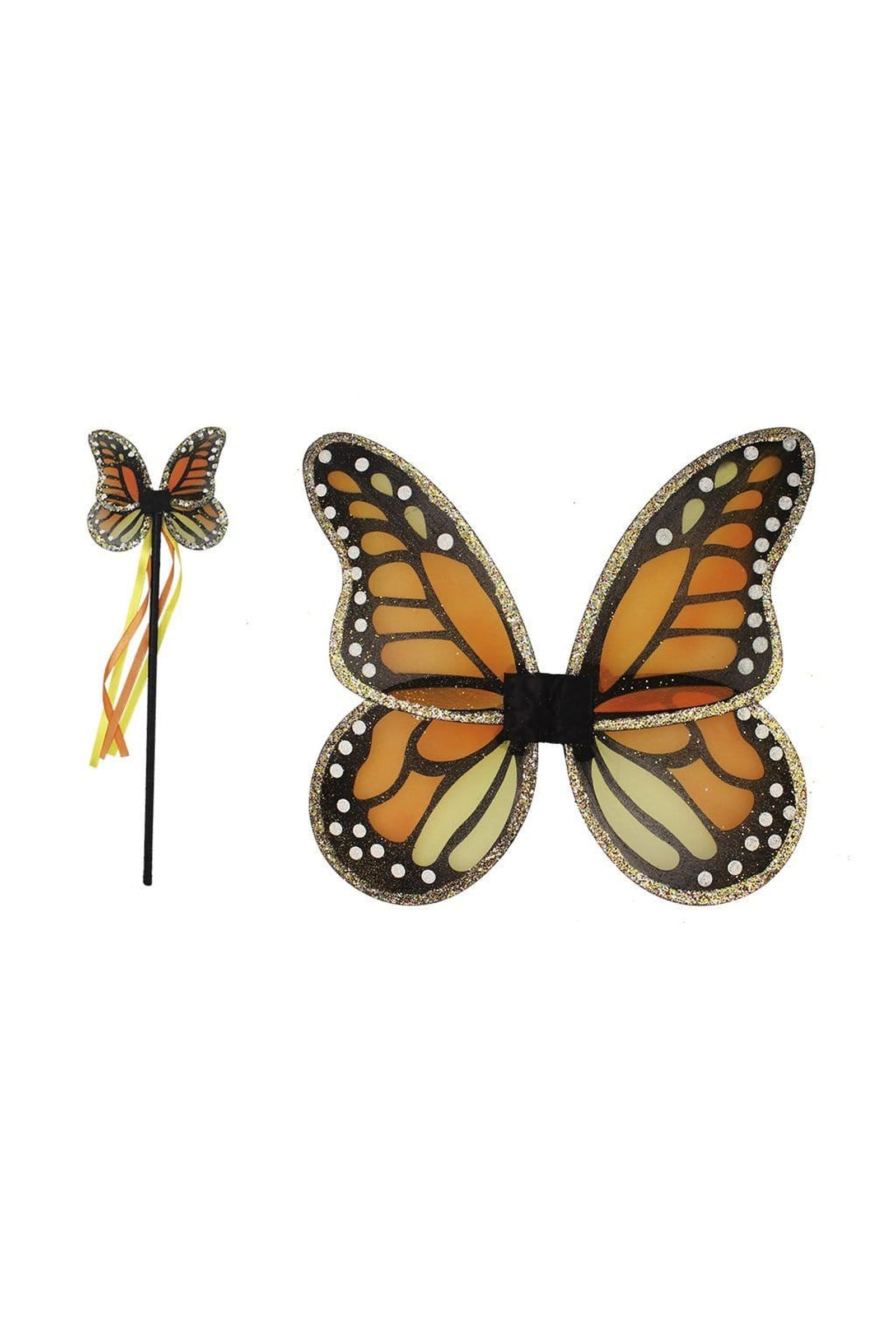 Monarch Wings & Wand Set