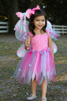 Butterfly Dress with Wings and Wand