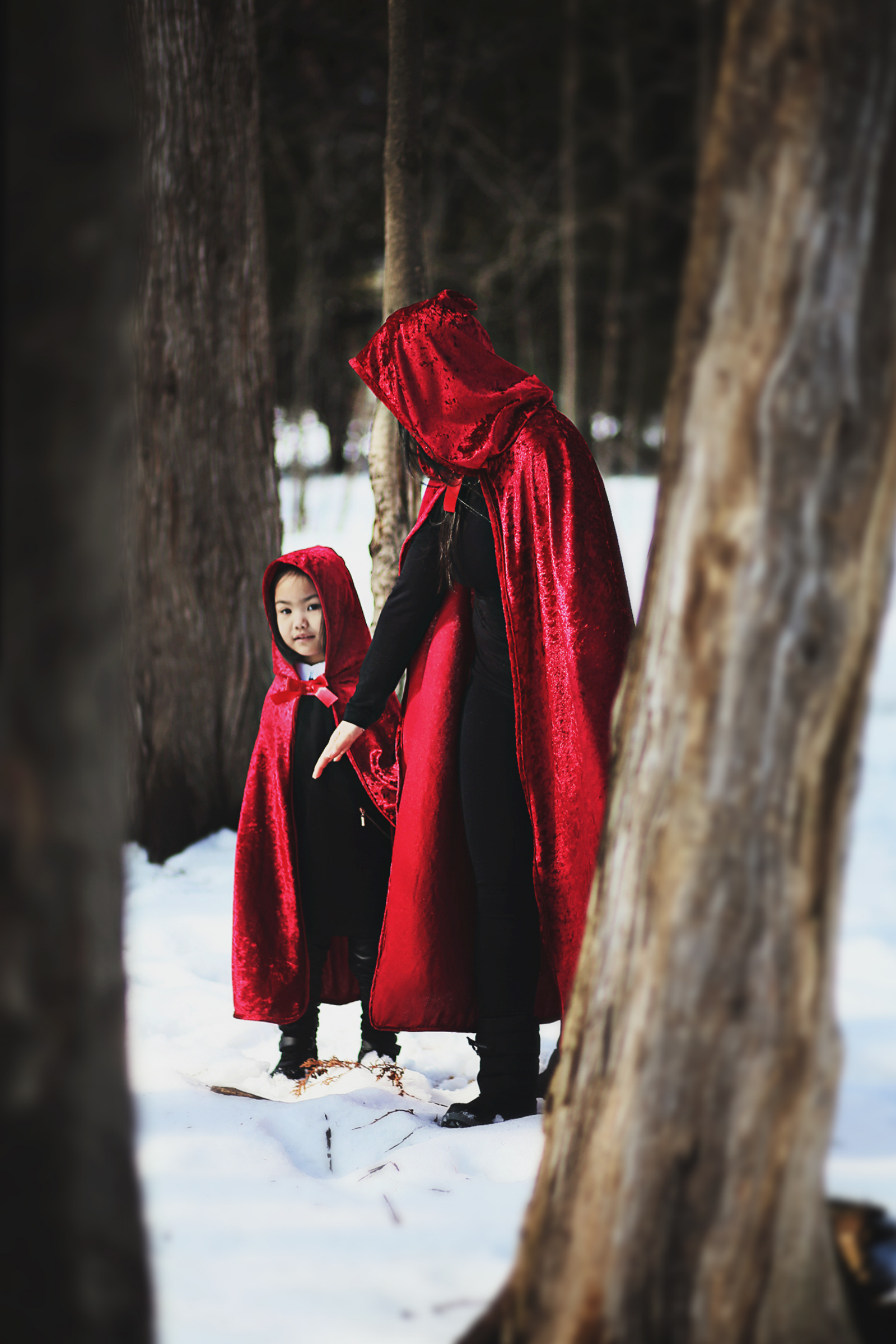 Adult Little Red Riding Hood Cape