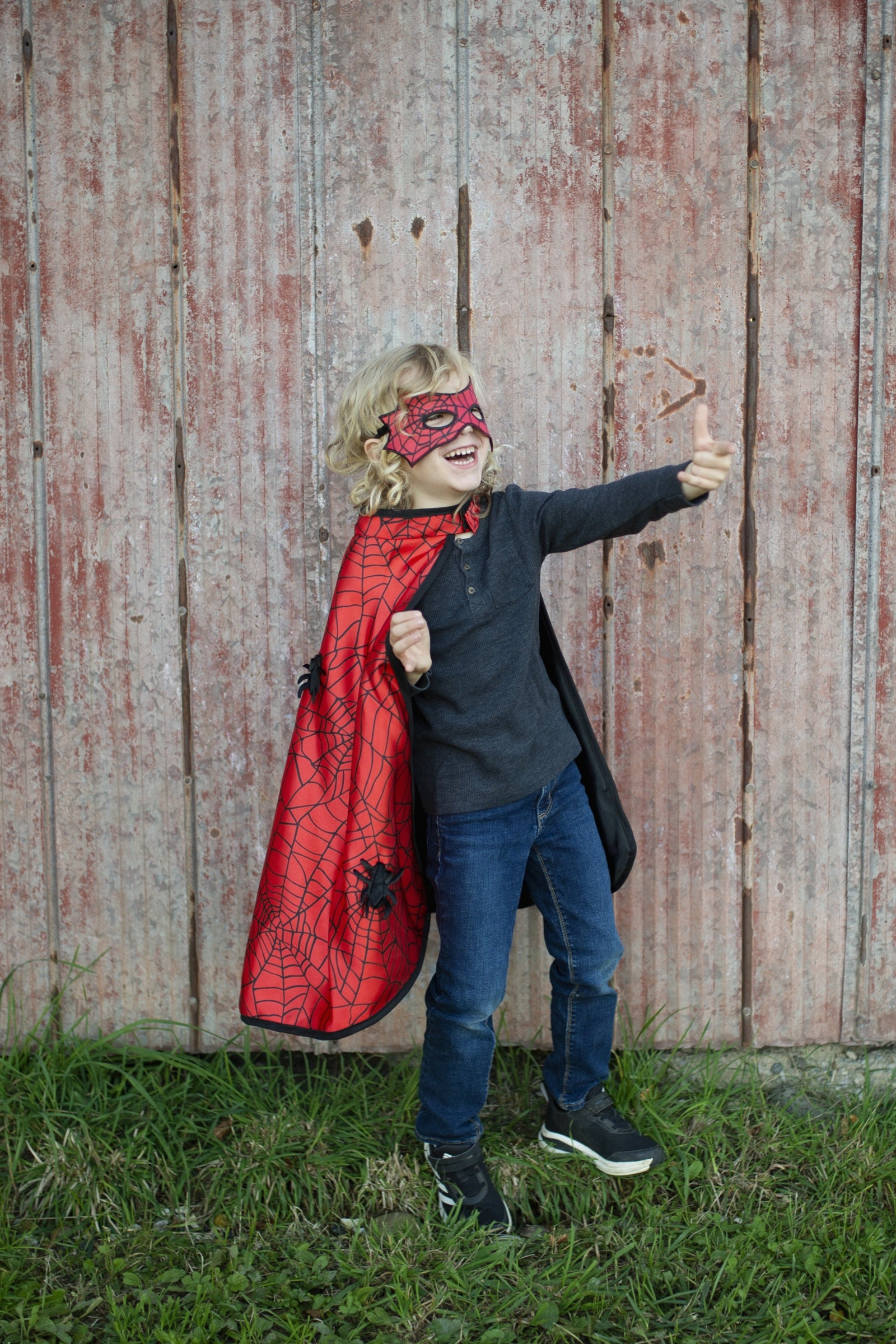 Reversible Spider Bat Cape and Mask
