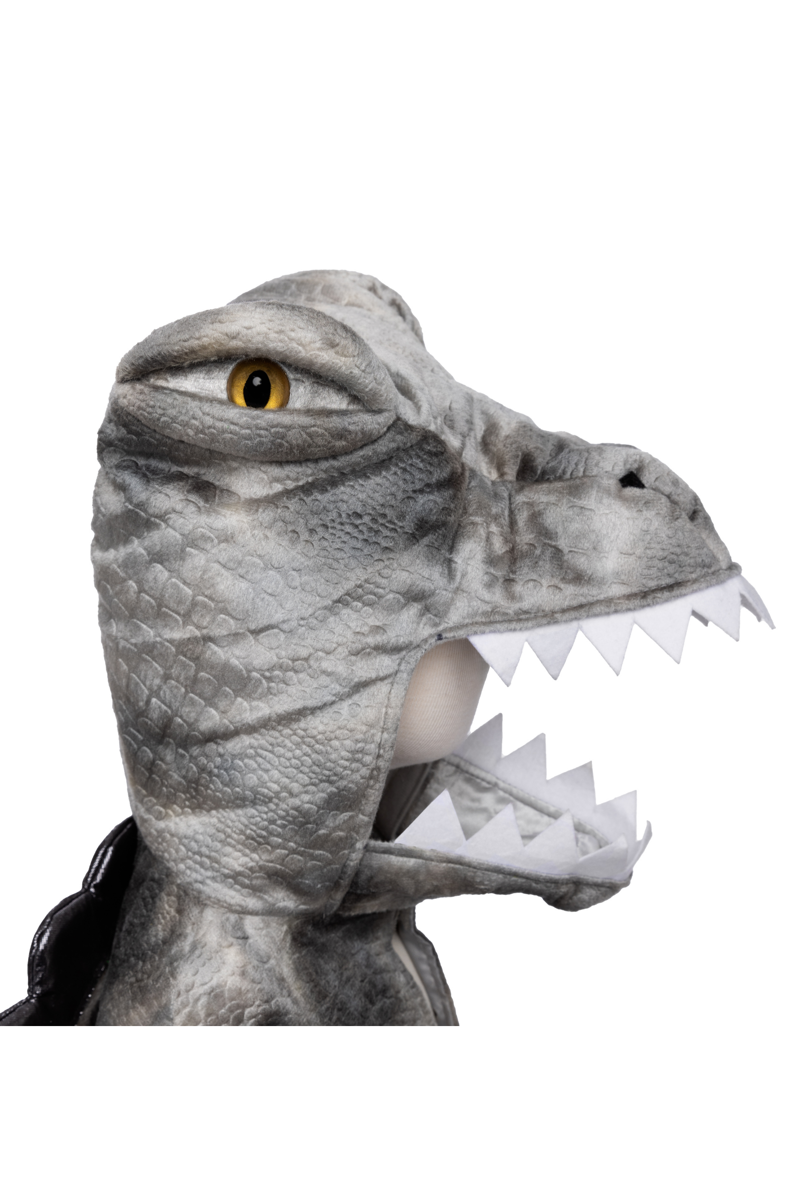 Grey Grandasaurus Spinosaurus Cape