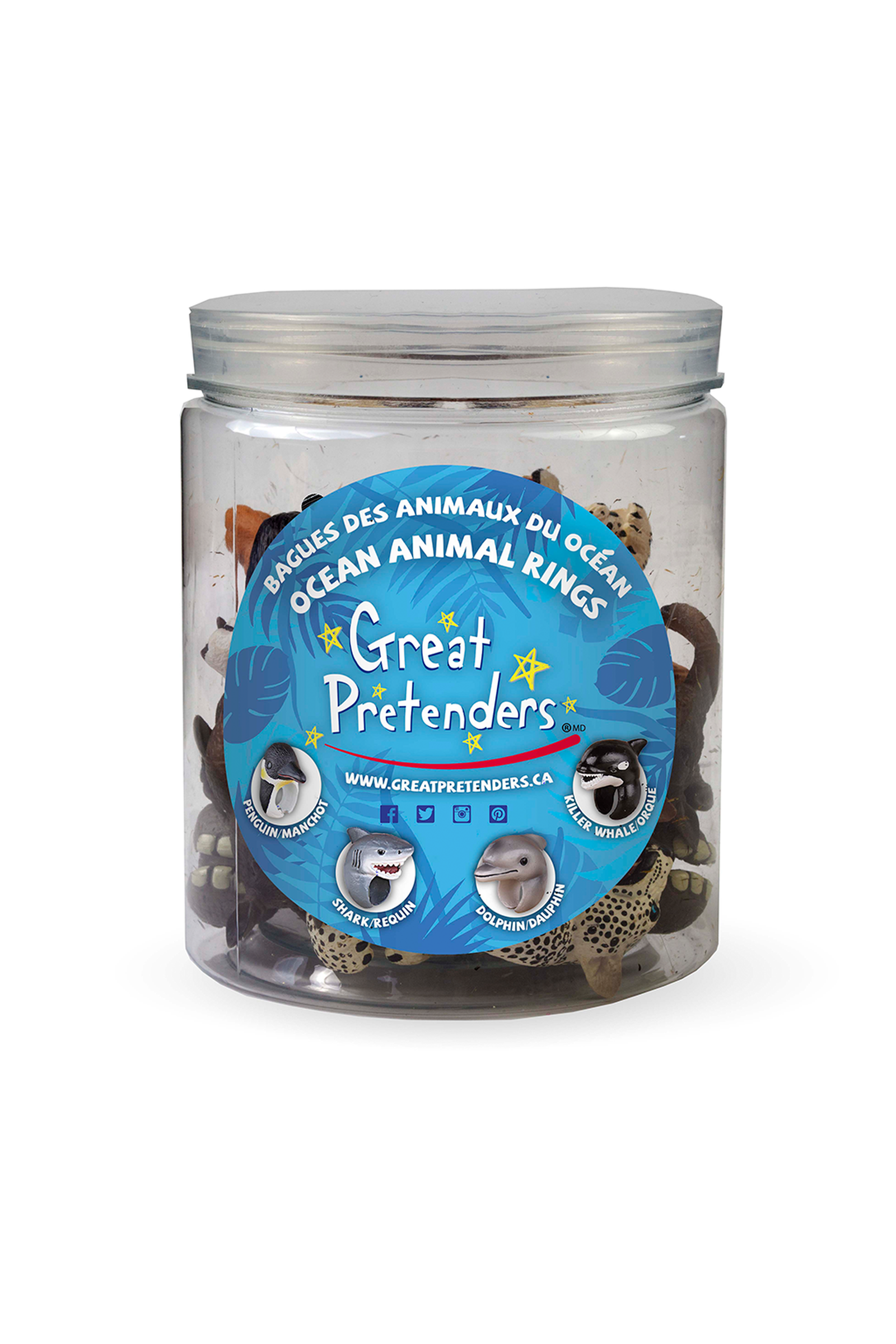 Animal Kingdom: Ocean Rings - 24pc Display