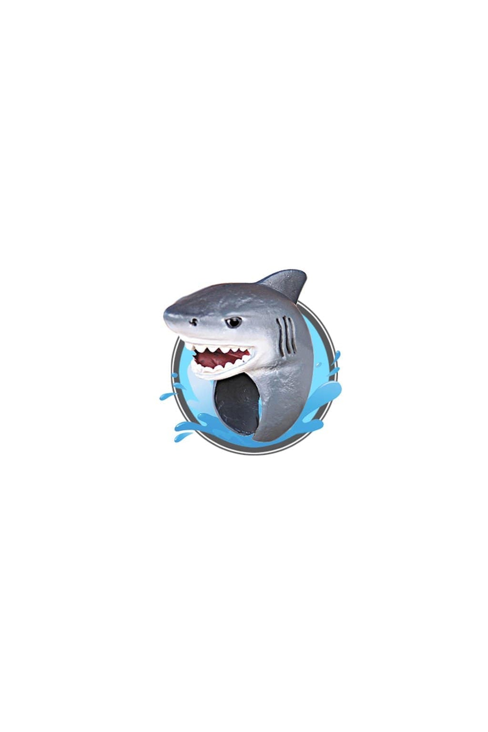 Animal Kingdom: Ocean Rings - 24pc Display