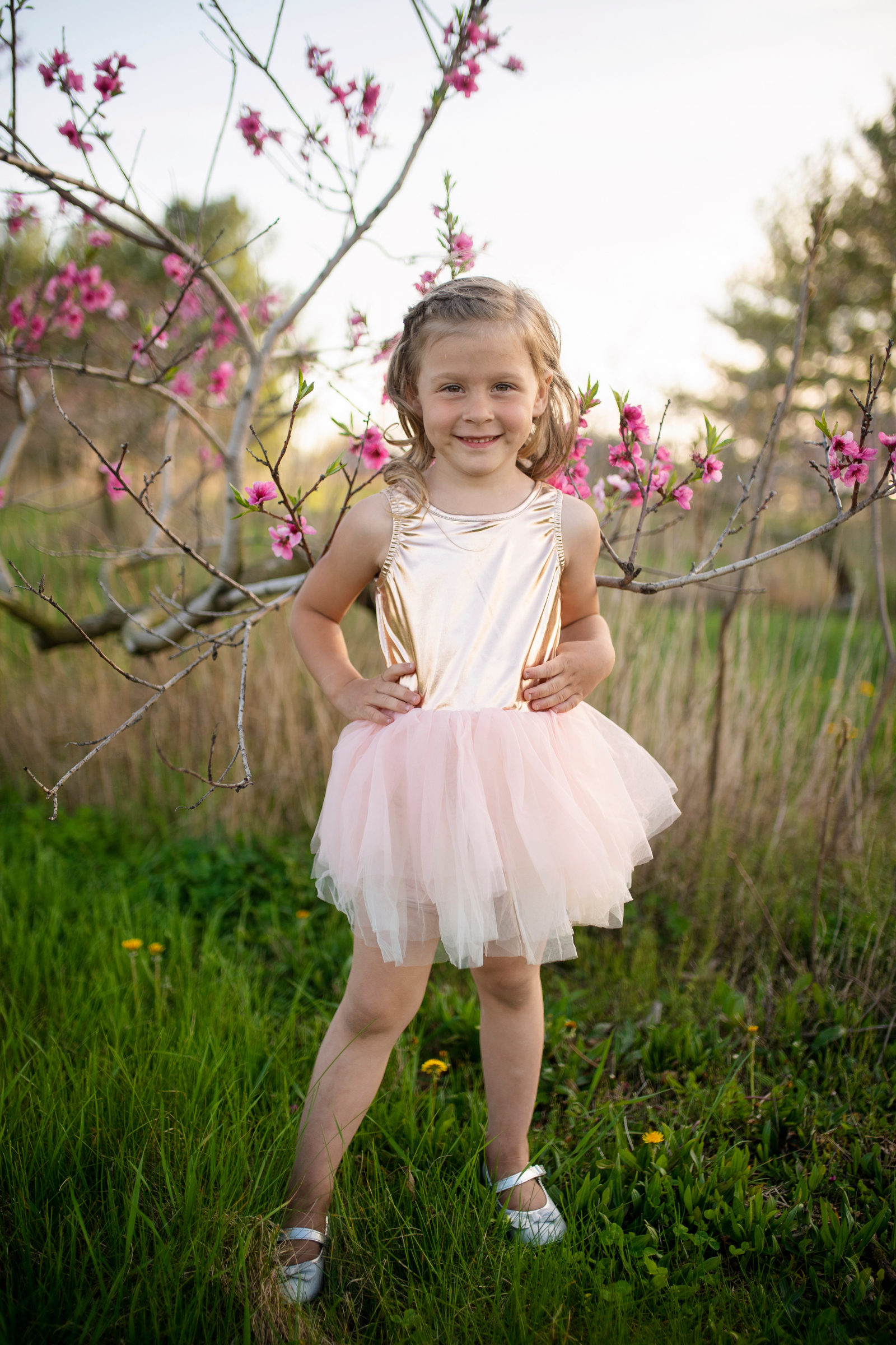 Ballet Tutu Dress